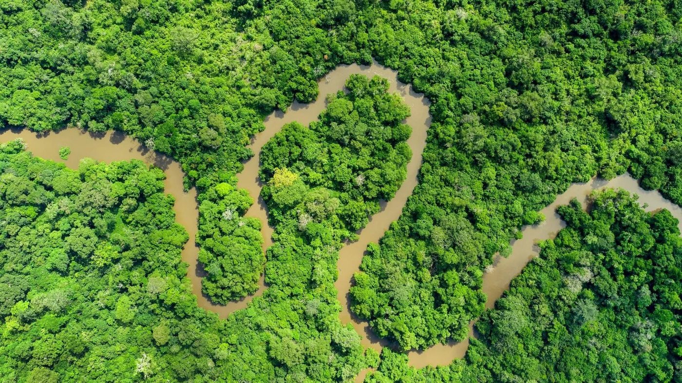 Vue aérienne d'une rivière serpentant dans la forêt du bassin du Congo